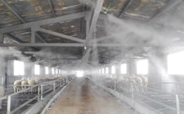 養殖場專業除臭噴霧除臭縮略圖