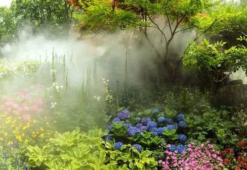 景觀微講堂丨景觀新寵之霧森系統插圖2